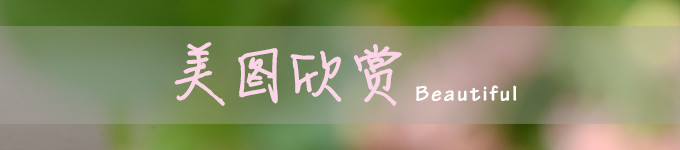 【三】美图欣赏 【三】美图欣赏