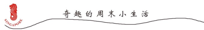 奇趣的周末小生活 奇趣的周末小生活