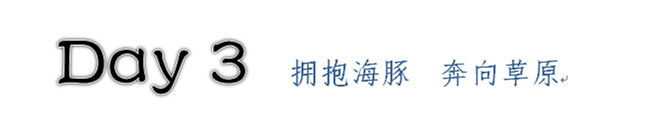 DAY3 拥抱海豚 奔向草原 DAY3 拥抱海豚 奔向草原