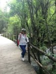 我的旅行之路。 我的旅行之路。