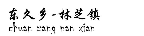 东久乡----林芝镇