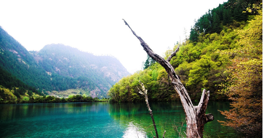 (当月特价)九寨沟口/甘海子地区-九黄机场接/送机单程包车服务(出租车