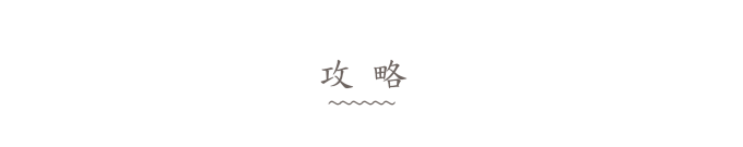 攻略 攻略