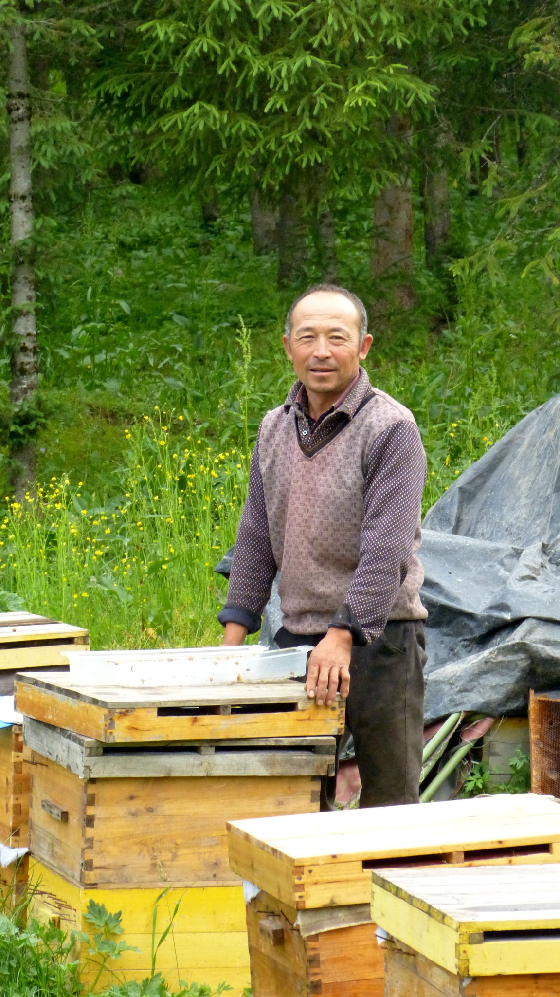 &nbsp;&nbsp;&nbsp;&nbsp;&nbsp;&nbsp;&nbsp;&nbsp;淳朴憨厚的养蜂人