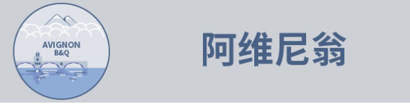 阿维尼翁 阿维尼翁