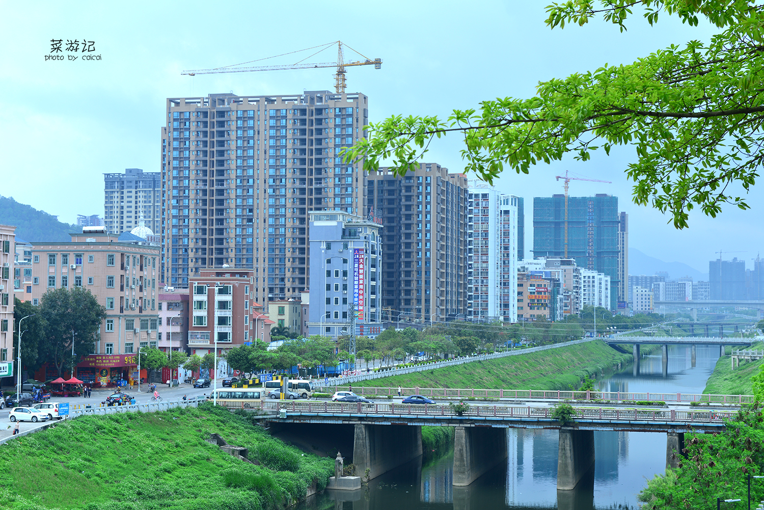 霞涌常住人口_常住人口登记卡(3)