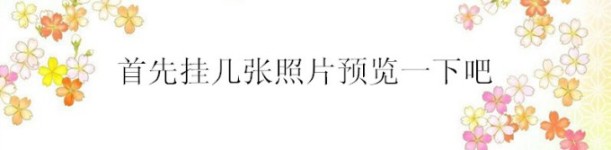首先挂几张照片预览一下吧~~ 首先挂几张照片预览一下吧~~