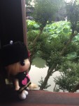 副本:小黑米游苏州 副本:小黑米游苏州