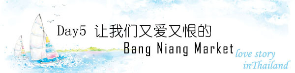 Day5 让我们又爱又恨的Bang Niang Market Day5 让我们又爱又恨的Bang Niang Market