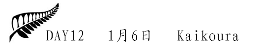 1 1