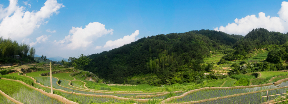 岳西金榜乡村图片