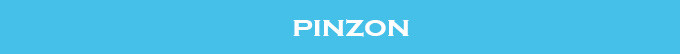 PINZON PINZON