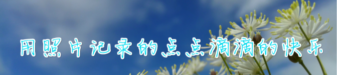 用照片记录的点点滴滴的快乐 用照片记录的点点滴滴的快乐