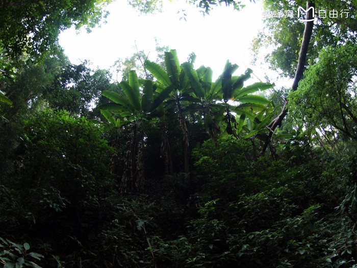 wKgBs1hP46OAW7vpAAJaLNDfWyQ80.jpeg?imageView2%2F2%2Fw%2F600%2Fq%2F90