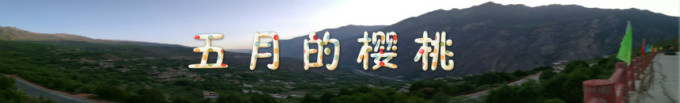 五月的樱桃 五月的樱桃